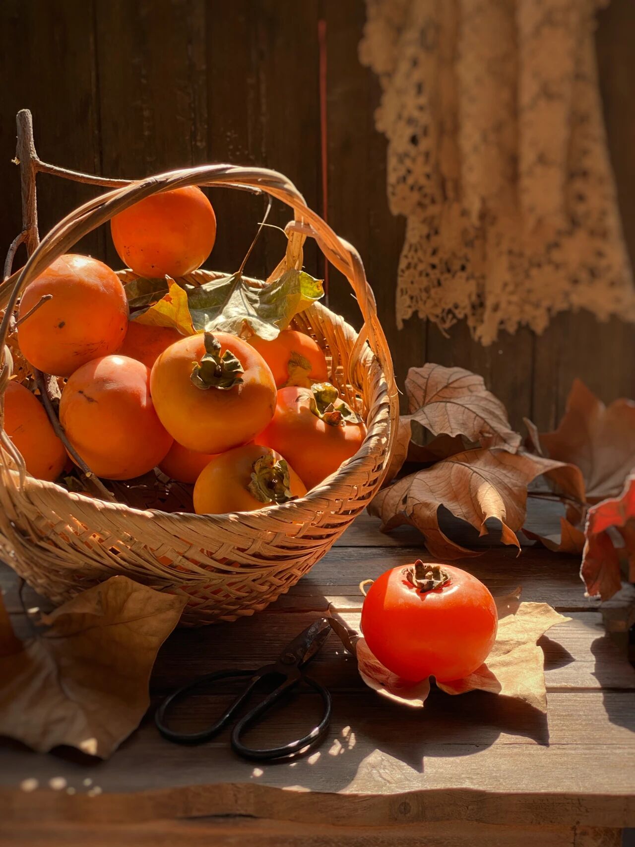 1761188984142912.jpg 微信图片_2025-10-23_110927_660.jpg