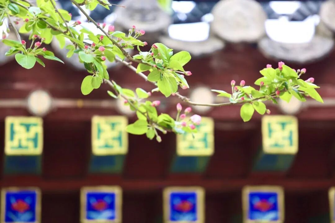 微信图片_2026-04-16_150939_160.jpg