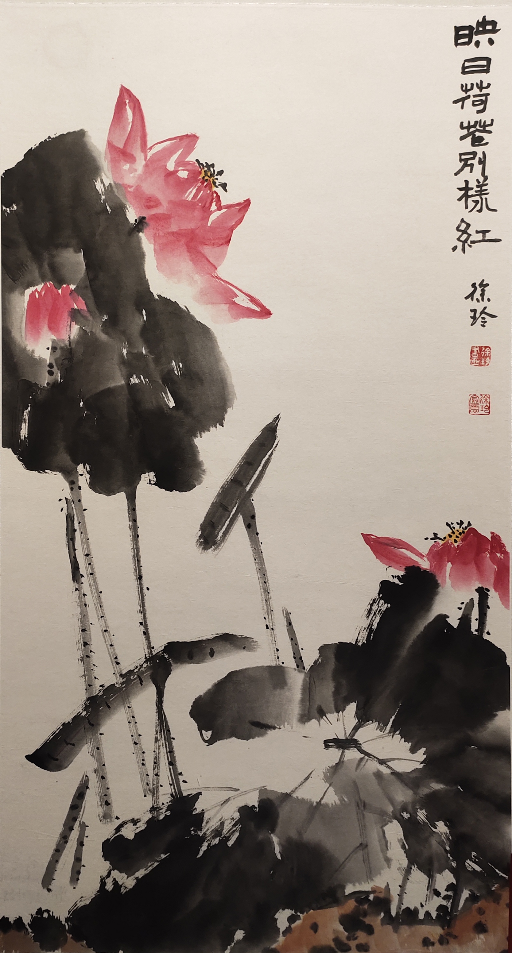 55徐玲.jpg