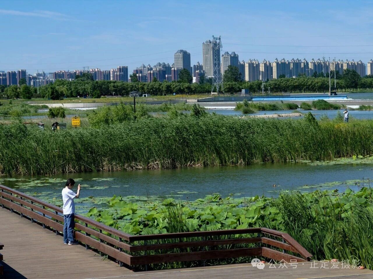 微信图片_2026-07-07_091135_350.jpg