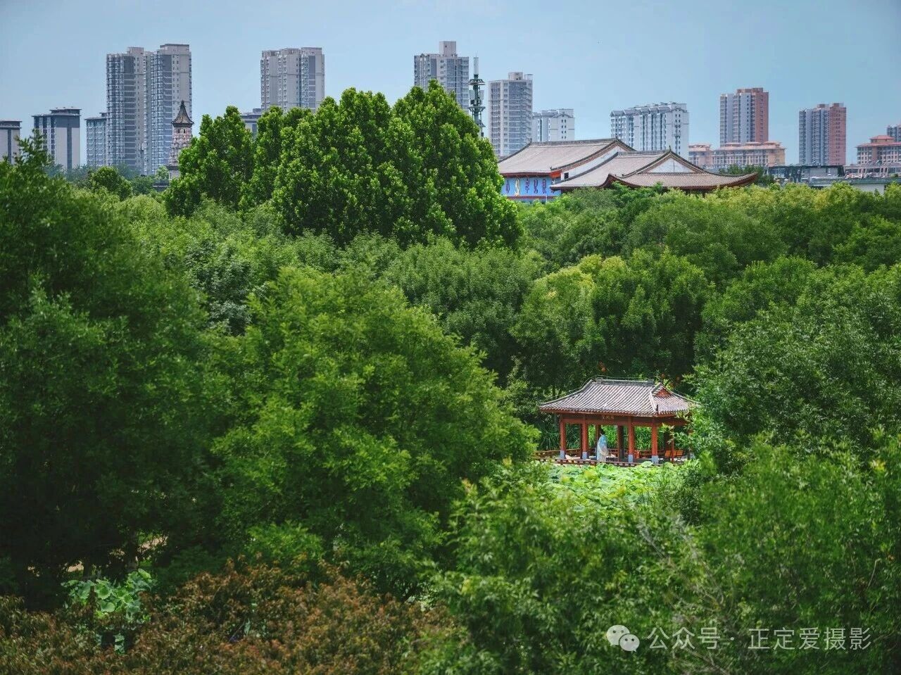 微信图片_2026-07-07_091222_869.jpg