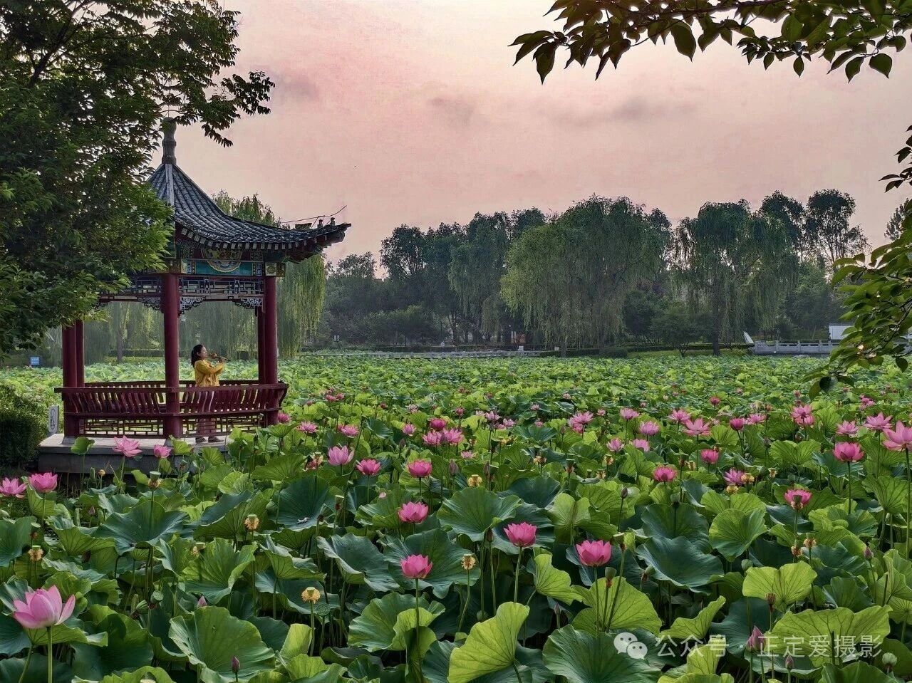 微信图片_2026-07-07_091241_078.jpg