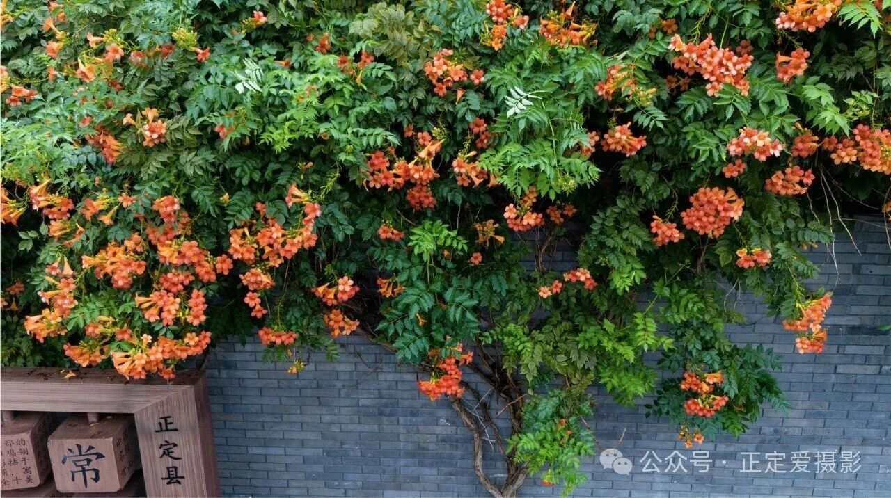 微信图片_2026-07-07_091341_656.jpg