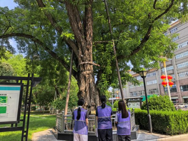 微信图片_2026-09-07_091053_174.png