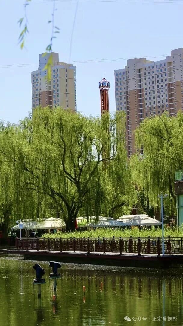 微信图片_2026-10-02_162137_208.jpg